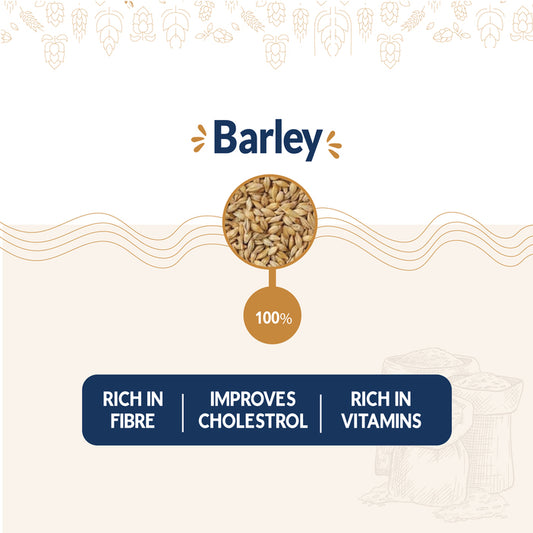 barley-9